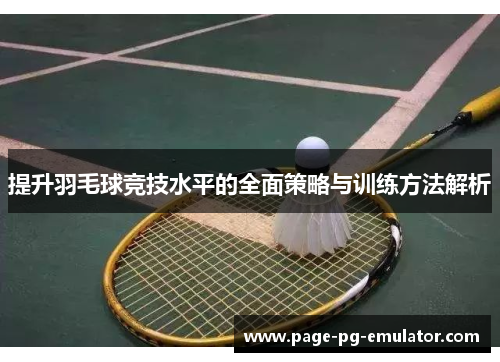 提升羽毛球竞技水平的全面策略与训练方法解析