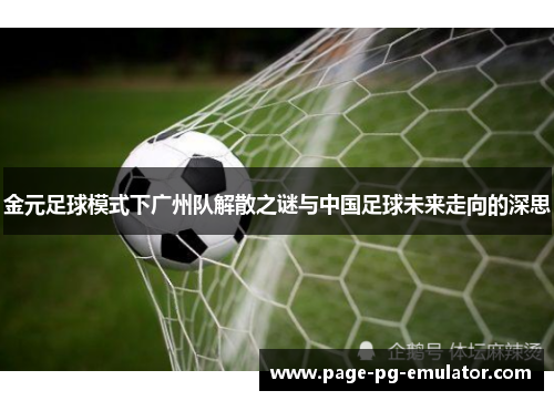 金元足球模式下广州队解散之谜与中国足球未来走向的深思