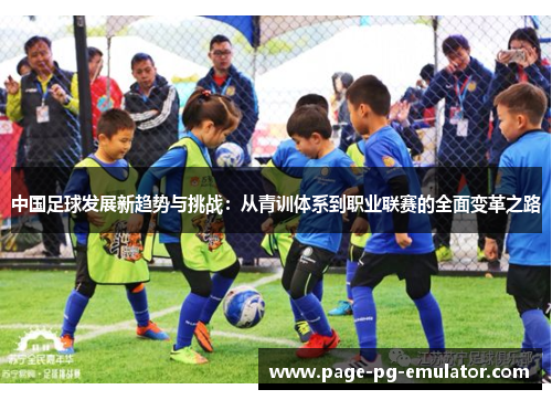 中国足球发展新趋势与挑战：从青训体系到职业联赛的全面变革之路