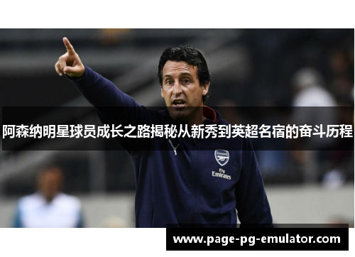 阿森纳明星球员成长之路揭秘从新秀到英超名宿的奋斗历程