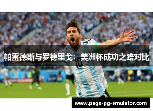 帕雷德斯与罗德里戈：美洲杯成功之路对比