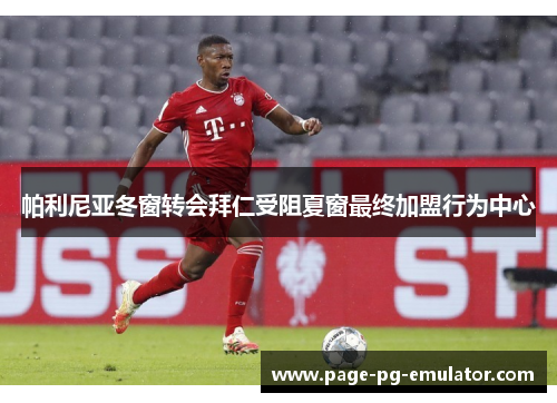 帕利尼亚冬窗转会拜仁受阻夏窗最终加盟行为中心