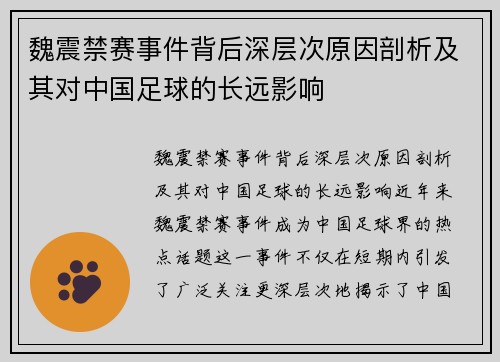 魏震禁赛事件背后深层次原因剖析及其对中国足球的长远影响